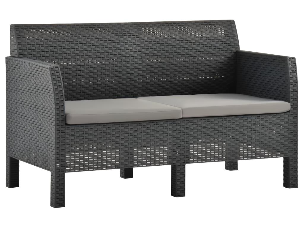 Canapé à 2 places de jardin avec coussins Anthracite PP Rotin AECB72046