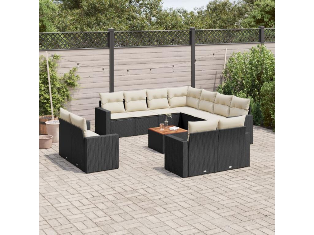 Salon de jardin 12 pcs avec coussins noir résine tressée EVNA43654